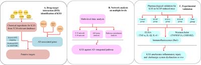 Systems Pharmacology Approach to Investigate the Mechanism of Kai-Xin-San in Alzheimer’s Disease